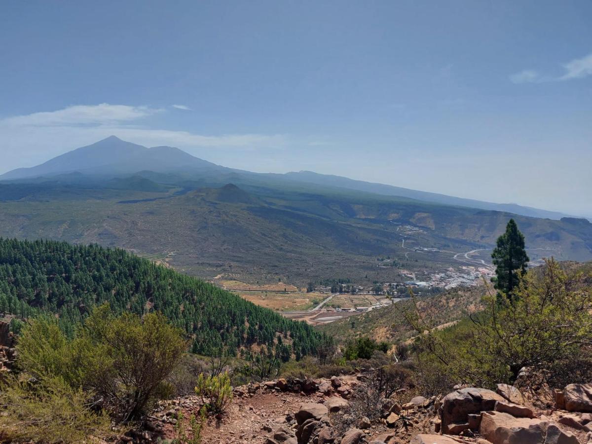 Vista Del Drago Villa Icod De Los Vinos Eksteriør bilde
