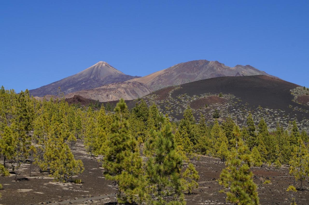 Vista Del Drago Villa Icod De Los Vinos Eksteriør bilde